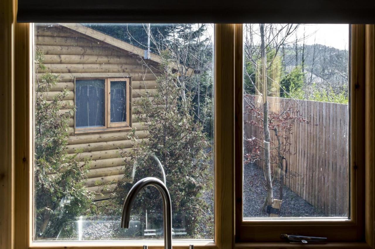 Fern Lodge - 2 Bedroom Log Cabin - Saint Florence - Tenby Exterior foto