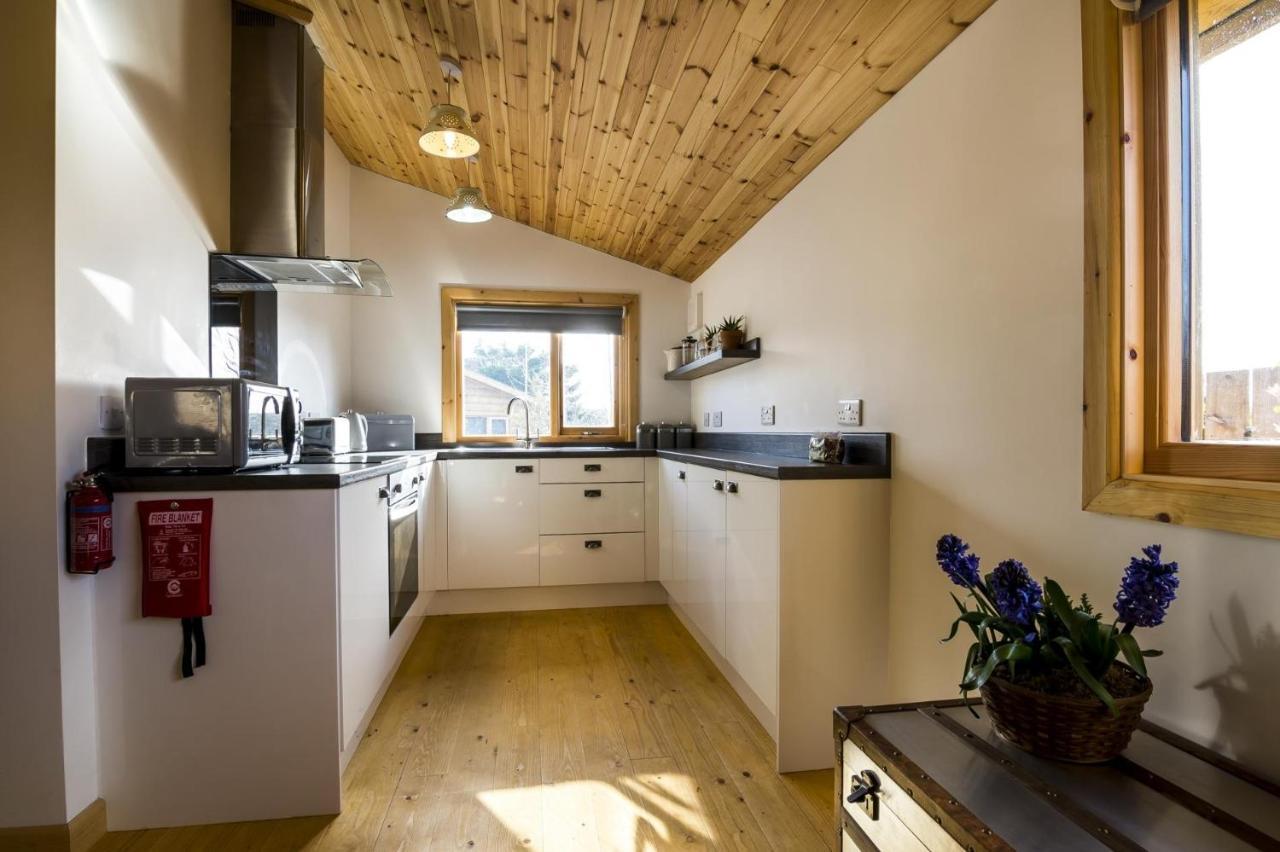Fern Lodge - 2 Bedroom Log Cabin - Saint Florence - Tenby Exterior foto